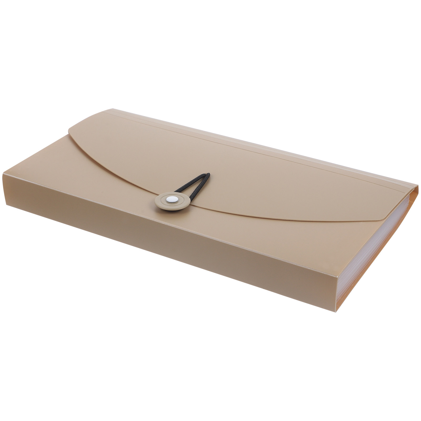Organisateur de classeurs à 13 - Expandable Accordion File Folder 13 Pockets avis et prix